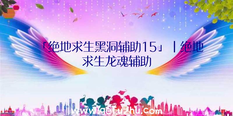 「绝地求生黑洞辅助15」|绝地求生龙魂辅助